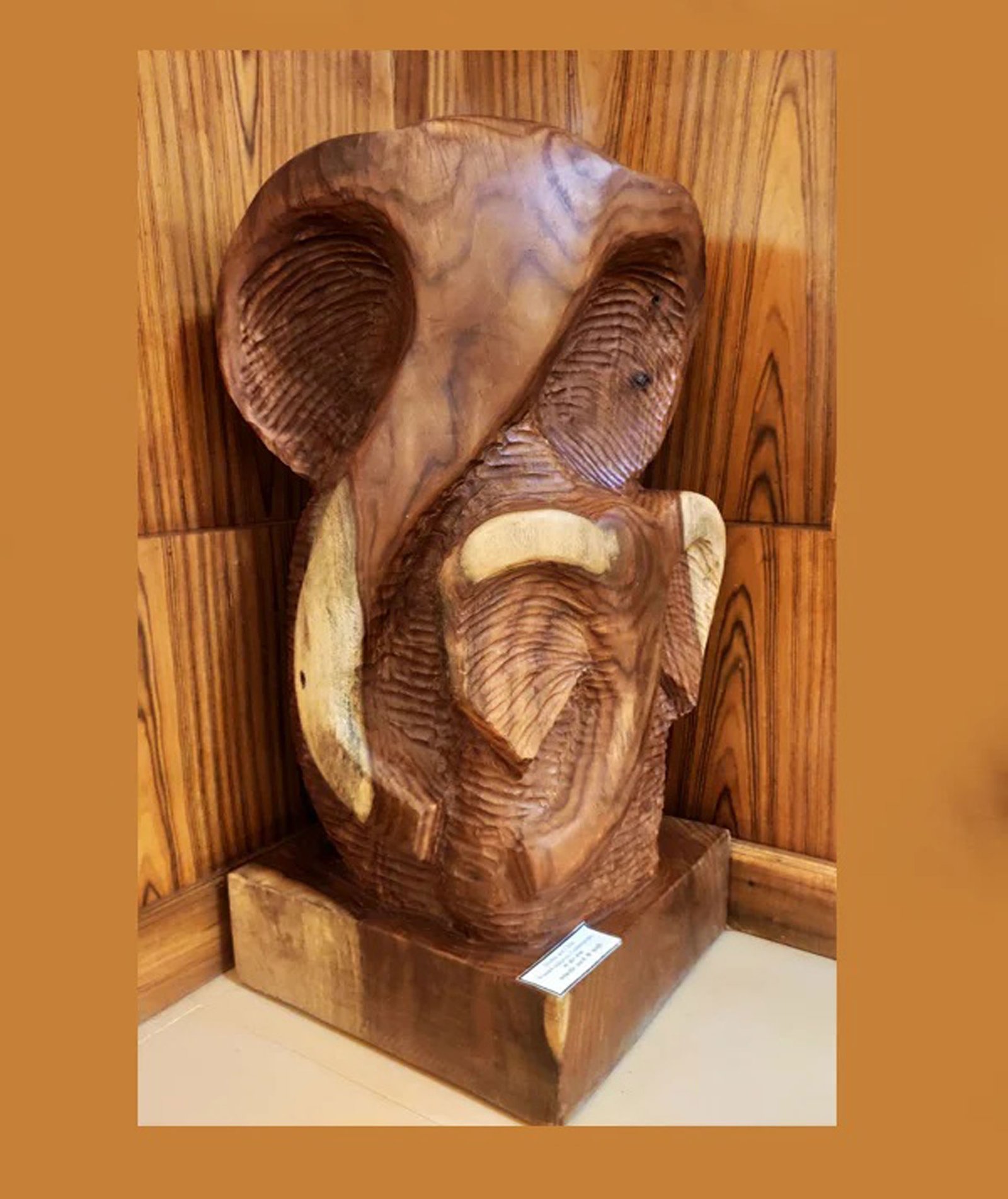 Wooden Collections
